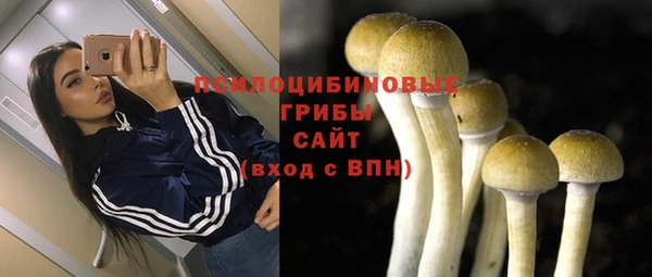 тгк Армянск